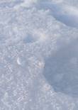 20230119_105815 (Large).jpg (227759 bytes)
